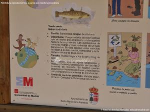 Foto Escuela de Pesca y Conservación del Ecosistema Acuático en el Río Aceña 11