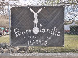 Foto Asociación Amiburro 1