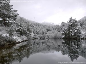 Foto Valle de La Barranca (Navacerrada) durante una nevada 1