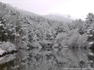 Foto Valle de La Barranca (Navacerrada) durante una nevada 2