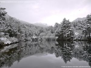 Foto Valle de La Barranca (Navacerrada) durante una nevada 3