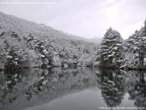Foto Valle de La Barranca (Navacerrada) durante una nevada 4