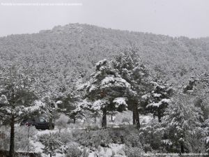 Foto Valle de La Barranca (Navacerrada) durante una nevada 5