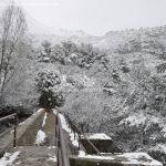 Foto Valle de La Barranca (Navacerrada) durante una nevada 7