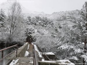Foto Valle de La Barranca (Navacerrada) durante una nevada 7
