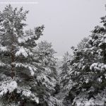 Foto Valle de La Barranca (Navacerrada) durante una nevada 10