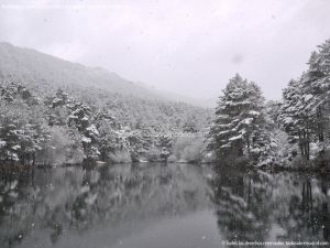Foto Valle de La Barranca (Navacerrada) durante una nevada 12