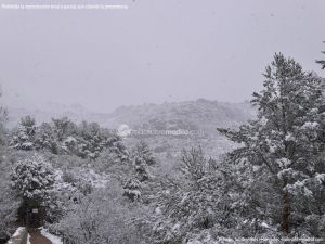 Foto Valle de La Barranca (Navacerrada) durante una nevada 14