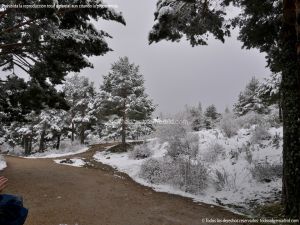 Foto Valle de La Barranca (Navacerrada) durante una nevada 31