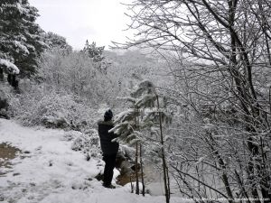 Foto Valle de La Barranca (Navacerrada) durante una nevada 34