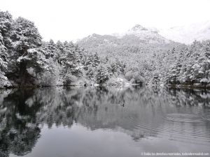 Foto Valle de La Barranca (Navacerrada) durante una nevada 40