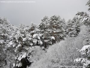 Foto Valle de La Barranca (Navacerrada) durante una nevada 43