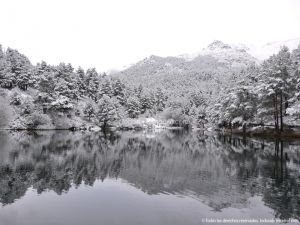 Foto Valle de La Barranca (Navacerrada) durante una nevada 45