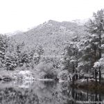 Foto Valle de La Barranca (Navacerrada) durante una nevada 46
