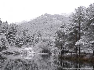 Foto Valle de La Barranca (Navacerrada) durante una nevada 46