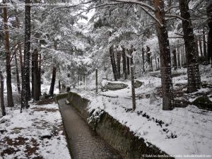 Foto Valle de La Barranca (Navacerrada) durante una nevada 48