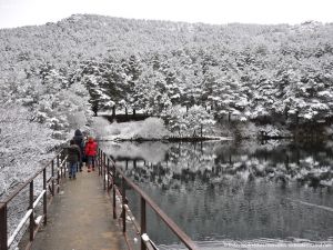 Foto Valle de La Barranca (Navacerrada) durante una nevada 51