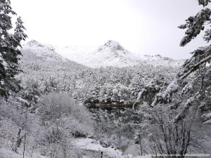 Foto Valle de La Barranca (Navacerrada) durante una nevada 52