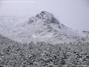 Foto Valle de La Barranca (Navacerrada) durante una nevada 53