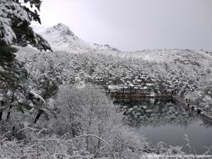 Foto Valle de La Barranca (Navacerrada) durante una nevada 55