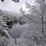 Foto Valle de La Barranca (Navacerrada) durante una nevada 57