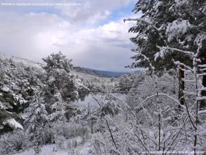 Foto Valle de La Barranca (Navacerrada) durante una nevada 59