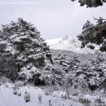 Foto Valle de La Barranca (Navacerrada) durante una nevada 70