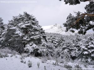 Foto Valle de La Barranca (Navacerrada) durante una nevada 70