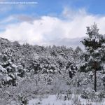 Foto Valle de La Barranca (Navacerrada) durante una nevada 72