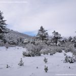 Foto Valle de La Barranca (Navacerrada) durante una nevada 76