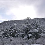 Foto Valle de La Barranca (Navacerrada) durante una nevada 77