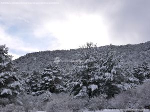 Foto Valle de La Barranca (Navacerrada) durante una nevada 77