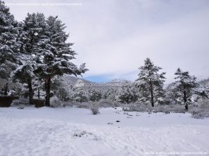Foto Valle de La Barranca (Navacerrada) durante una nevada 78