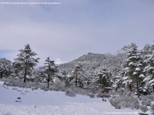 Foto Valle de La Barranca (Navacerrada) durante una nevada 80