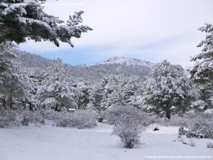 Foto Valle de La Barranca (Navacerrada) durante una nevada 81