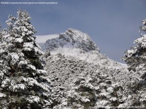 Foto Valle de La Barranca (Navacerrada) durante una nevada 88