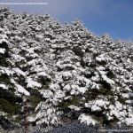 Foto Valle de La Barranca (Navacerrada) durante una nevada 92