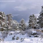 Foto Valle de La Barranca (Navacerrada) durante una nevada 95