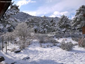 Foto Valle de La Barranca (Navacerrada) durante una nevada 98