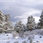 Foto Valle de La Barranca (Navacerrada) durante una nevada 101