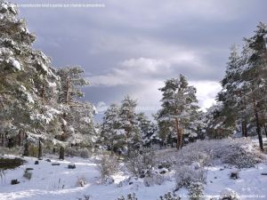Foto Valle de La Barranca (Navacerrada) durante una nevada 102