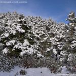 Foto Valle de La Barranca (Navacerrada) durante una nevada 104