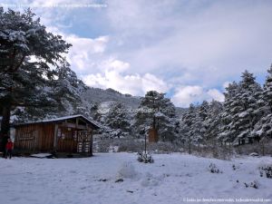 Foto Valle de La Barranca (Navacerrada) durante una nevada 105