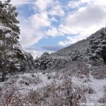 Foto Valle de La Barranca (Navacerrada) durante una nevada 106