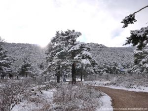 Foto Valle de La Barranca (Navacerrada) durante una nevada 107