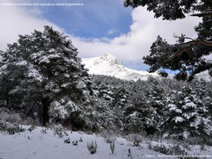 Foto Valle de La Barranca (Navacerrada) durante una nevada 108