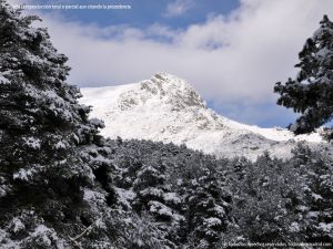 Foto Valle de La Barranca (Navacerrada) durante una nevada 109