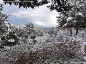 Foto Valle de La Barranca (Navacerrada) durante una nevada 111