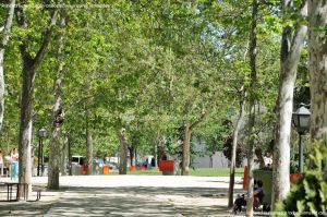 Foto Parque de San Isidro 14