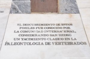 Foto Yacimiento Paleontológico de San Isidro 8